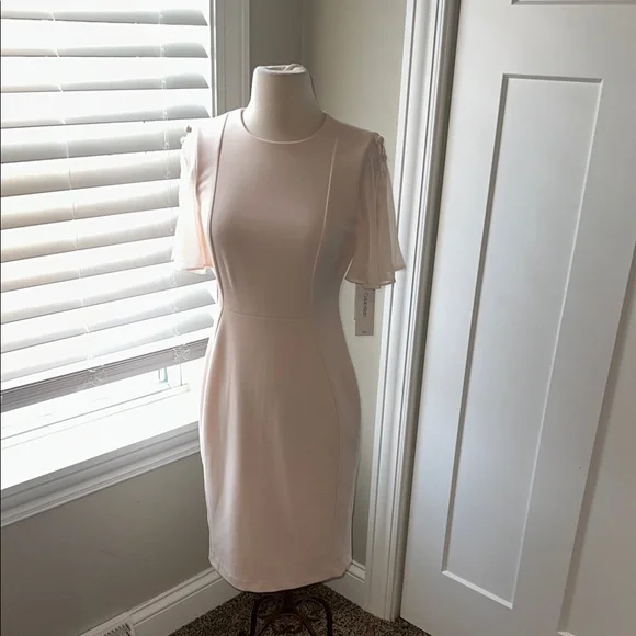 strapless open back dress Zapaka Women Blush Formal Dress with Long Sleeves A-Line Chiffon V-Neck Party Dress, Blush Pink / L